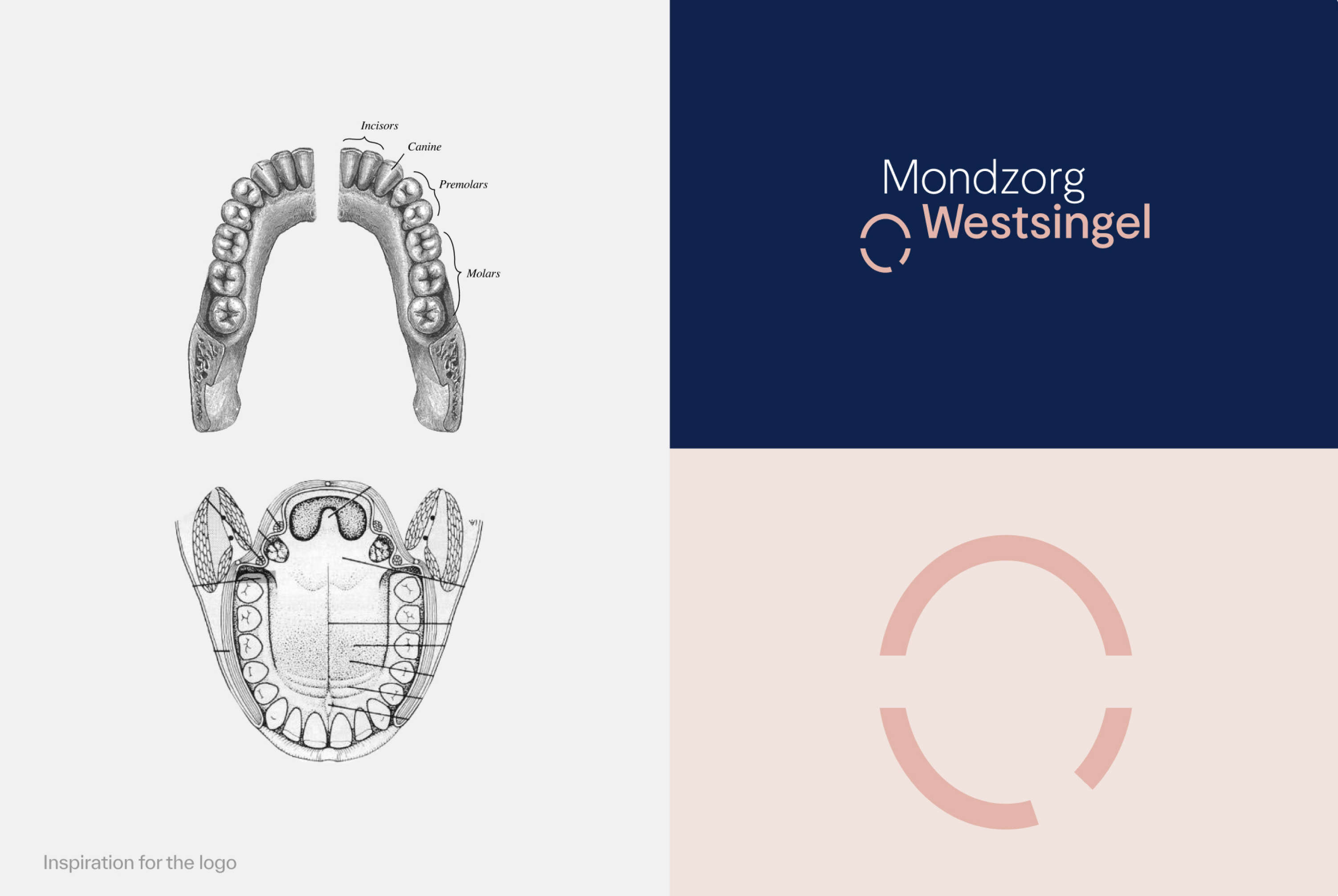 Mondzorg Westsingel logo inspiration and final logo design